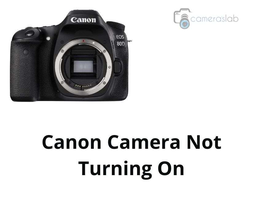 Canon Camera Not Turning On