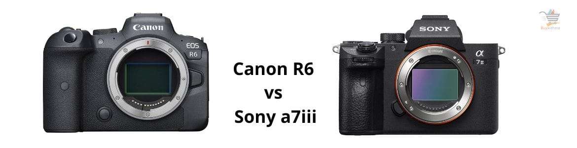 Canon R6 vs Sony a7iii