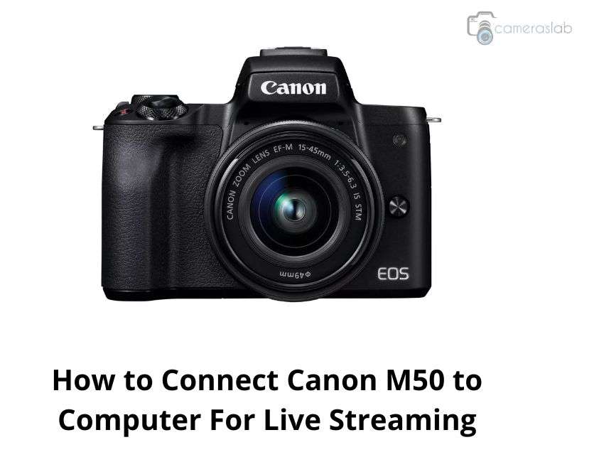 How to Connect Canon M50 to Computer For Live Streaming