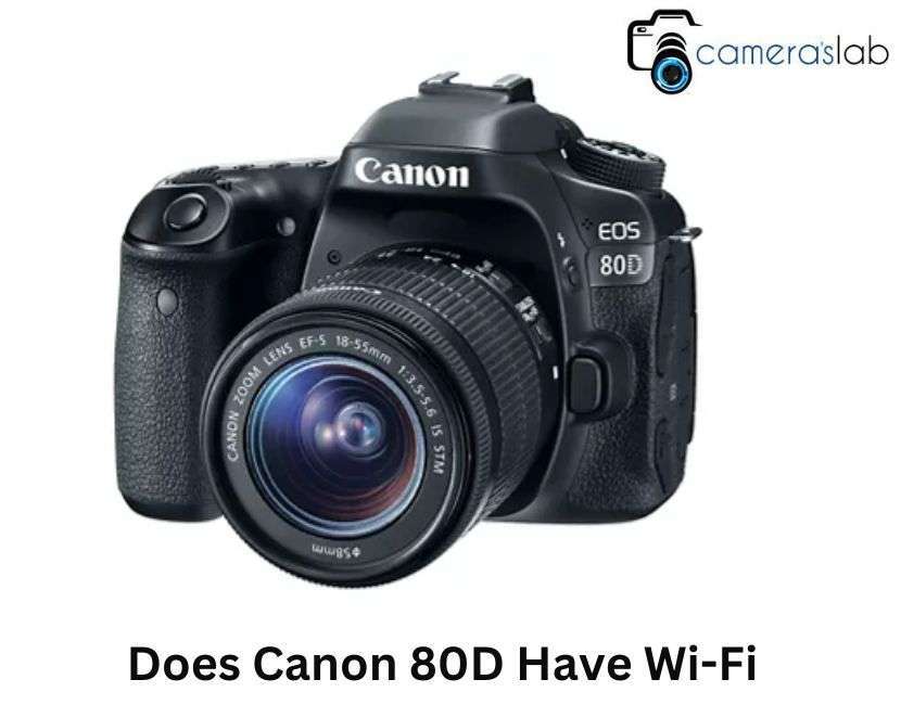 Does Canon 80D Have Wi-Fi