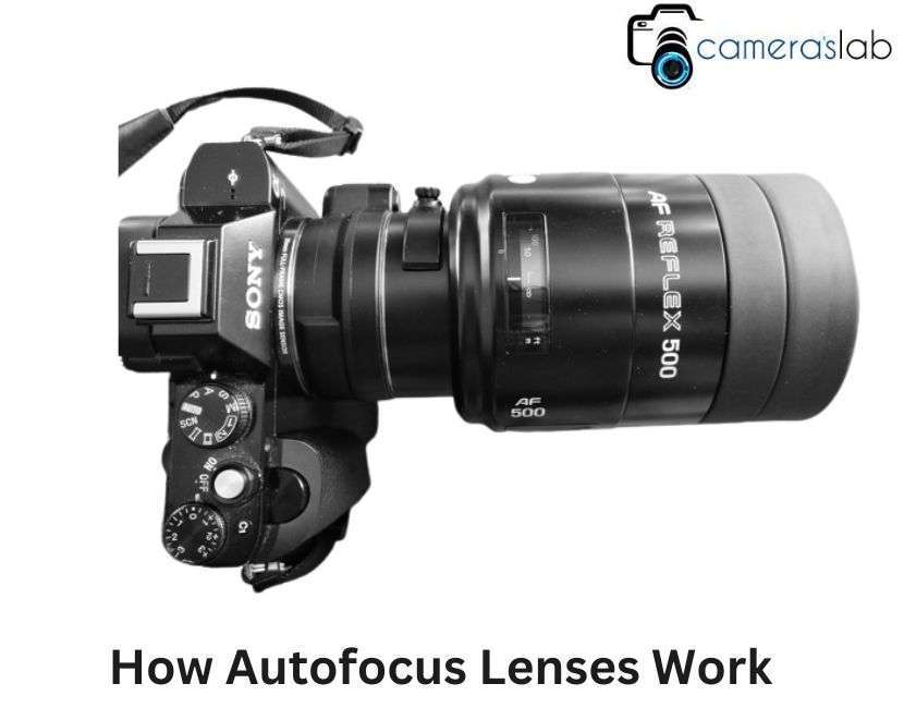 How Autofocus Lenses Work
