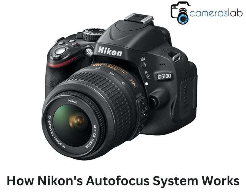 How Nikon's Autofocus System Works