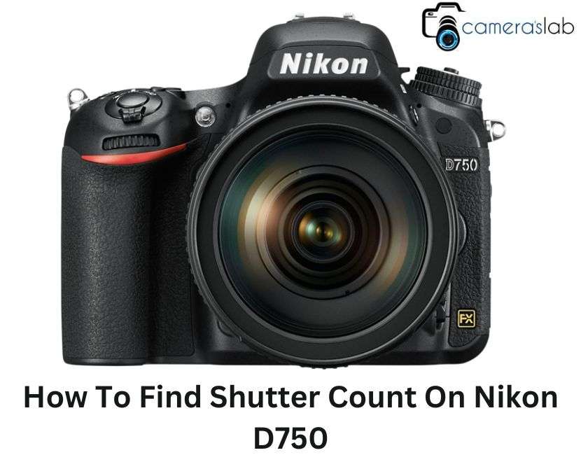 How To Find Shutter Count On Nikon D750