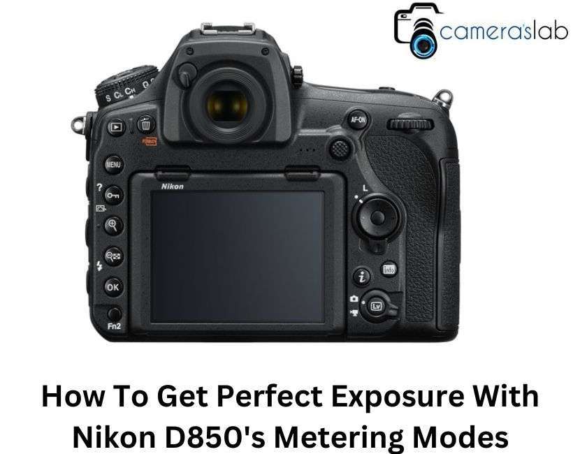 How To Get Perfect Exposure With Nikon D850's Metering Modes