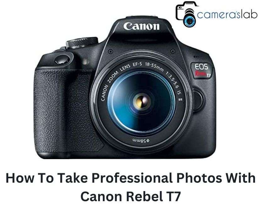 How To Take Professional Photos With Canon Rebel T7;