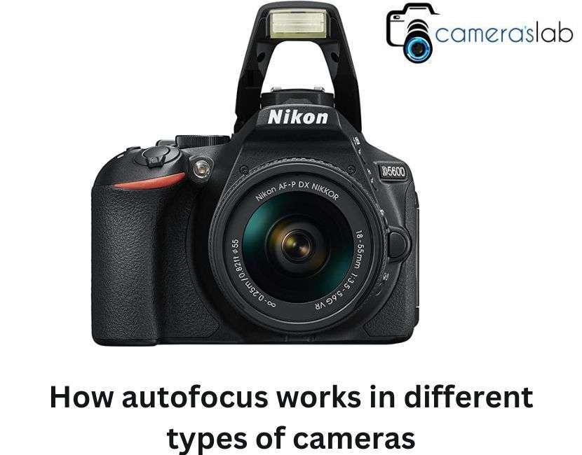 How autofocus works in different types of cameras