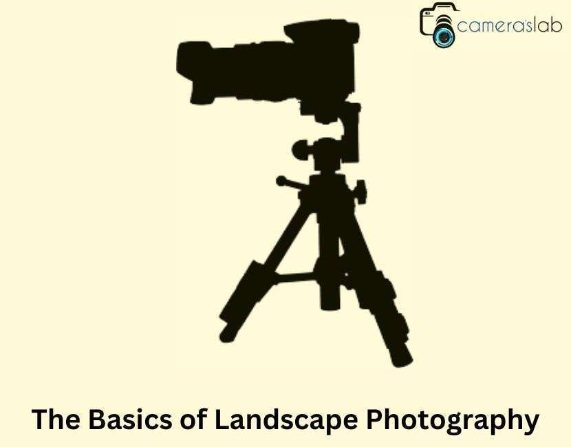 The Basics of Landscape Photography