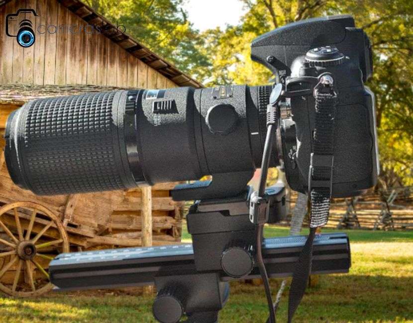 Which Nikon Cameras Have Focus Stackin