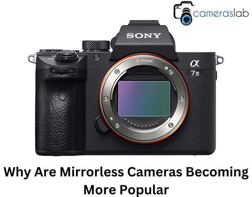 Why Are Mirrorless Cameras Becoming More Popular