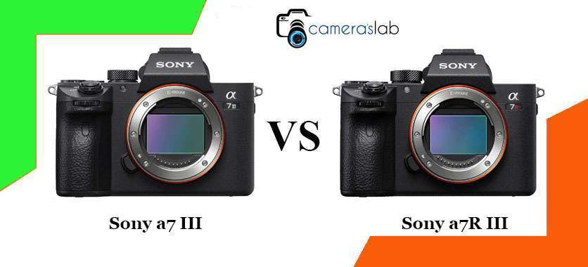Sony a7 III vs a7R III